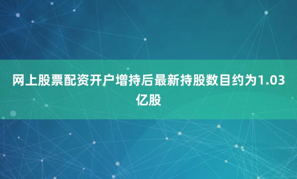 网上股票配资开户增持后最新持股数目约为1.03亿股