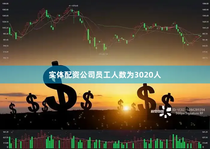 实体配资公司员工人数为3020人